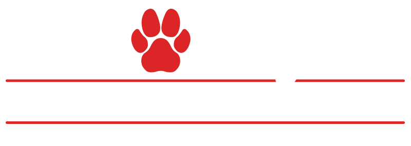 Dog Dayze Logo